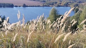В Пензенской области ожидается 33-градусная жара