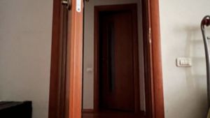 Особенности содержания чихуахуа: реальные поведенческие черты породы