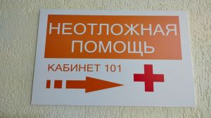 Жителям Пензенской области рассказали о способах защиты от мышиной лихорадки