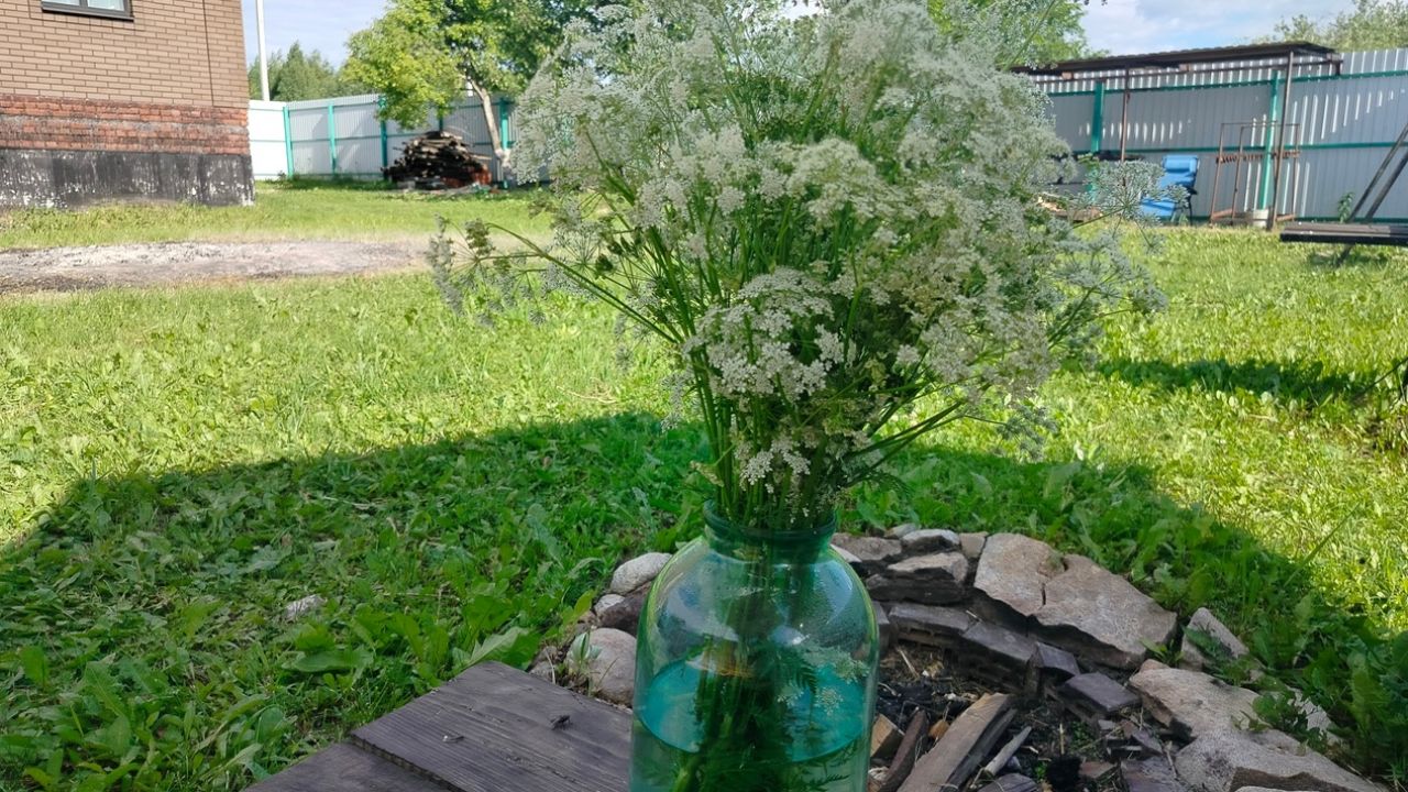 С 4 по 7 июля в Пензенской области ожидается 4 класс пожарной опасности