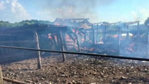 Опубликованы фото большого пожара в селе Казарка Никольского района