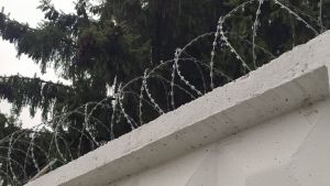В Бессоновском районе задержали четверых похитителей зерна