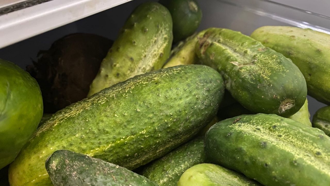 Как приготовить соленые огурцы в банках, как бочковые: годами проверенный рецепт