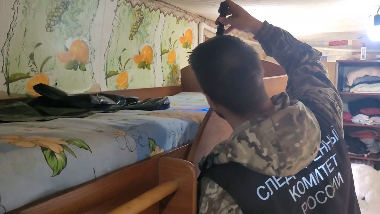 Жительница Пензенской области убила 4-летнюю племянницу