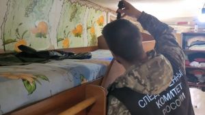 Жительница Пензенской области убила 4-летнюю племянницу