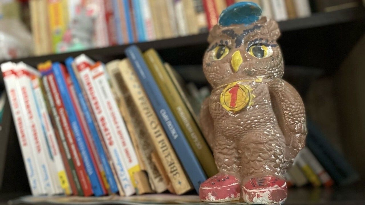 Пензенцы узнали, что в России хотят учредить День детской книги