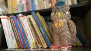 Пензенцы узнали, что в России хотят учредить День детской книги