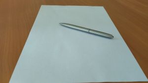 В Пензенской области реальный доход на одного работника МСП вырос на 11,3%