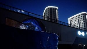 «Рисан» запустил ещё 6 тысяч рыб-санитаров в пруд в Арбеково