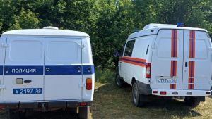 В Тамалинском районе спасатели искали в реке утопленника