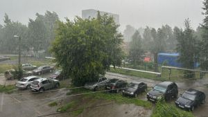 Дожди с грозами пройдут в Пензенской области 14 июля