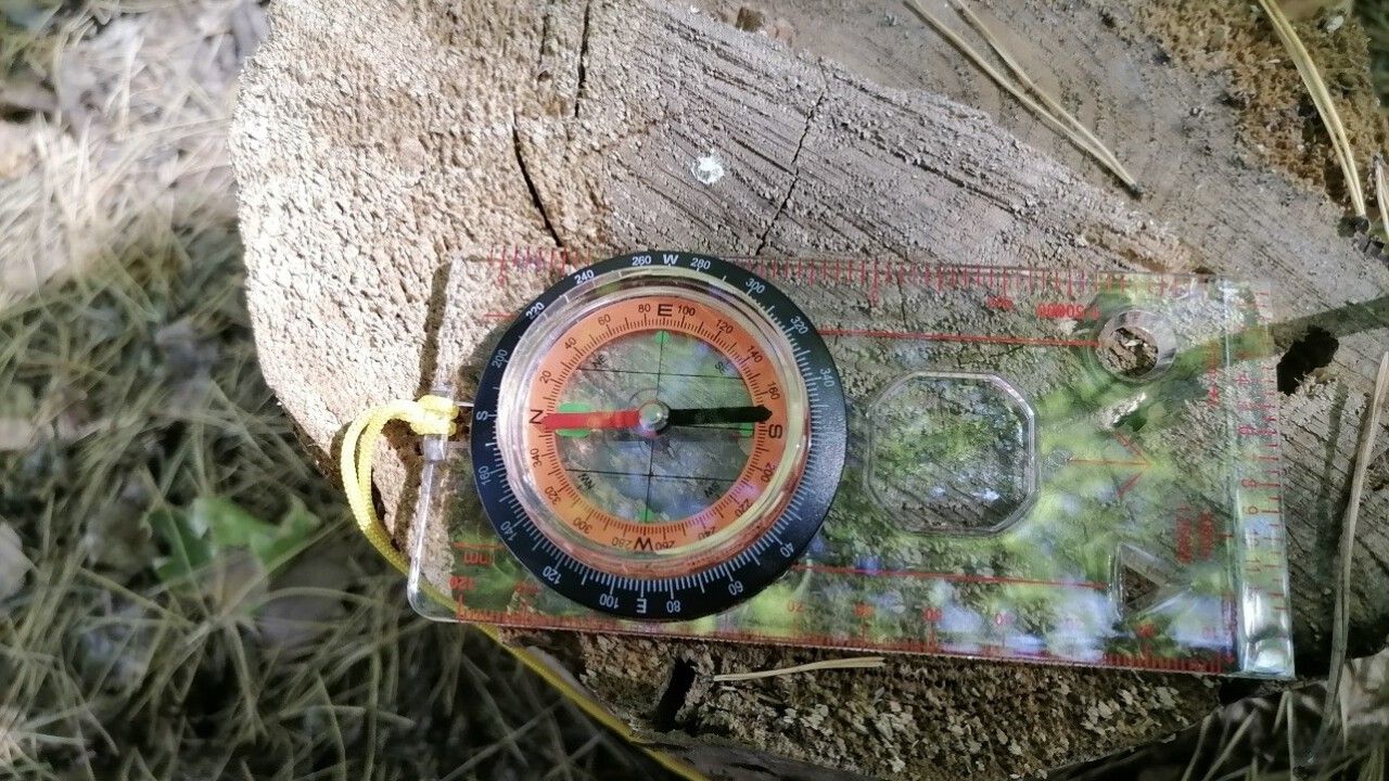 В июне в Пензенской области поступило 28 заявок на поиски пропавших людей