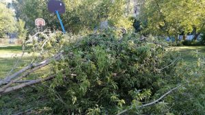 Пензенцев экстренно предупредили об ухудшении погоды 17 июля