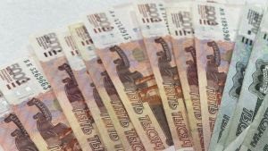 Житель Пачелмского района обманул государство на 350 тысяч рублей