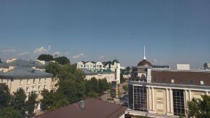 В Пензе волонтеры ищут пропавшую 87-летнюю женщину