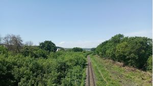 Транспортная полиция Пензы сообщила о росте экономических преступлений в 3 раза