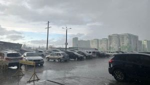 22 июля в Пензенской области прогнозируют желтый уровень погодной опасности