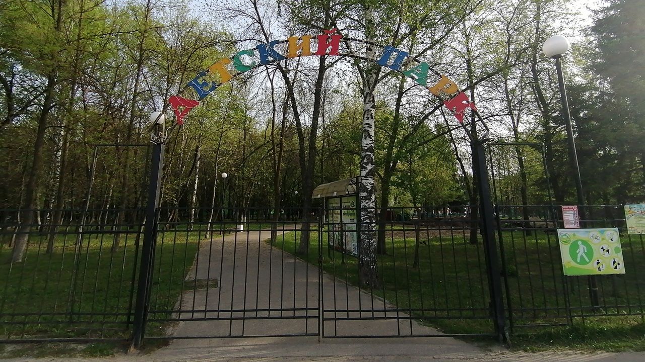 В городских парках Пензы пройдет День лимонада