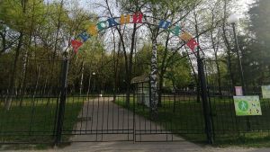 В городских парках Пензы пройдет День лимонада
