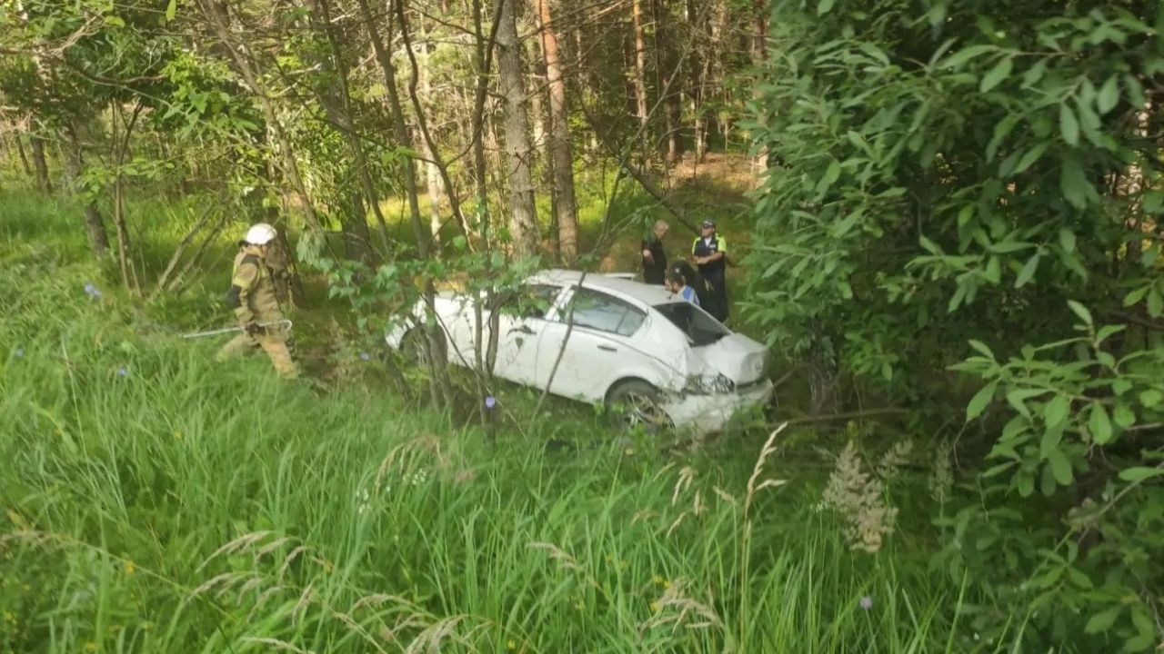 В Никольском районе авто съехало в кювет, пострадали двое
