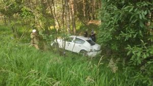 В Никольском районе авто съехало в кювет, пострадали двое