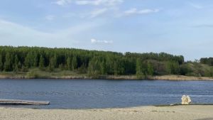 В Пензенской области сократилось число пляжей, непригодных для купания