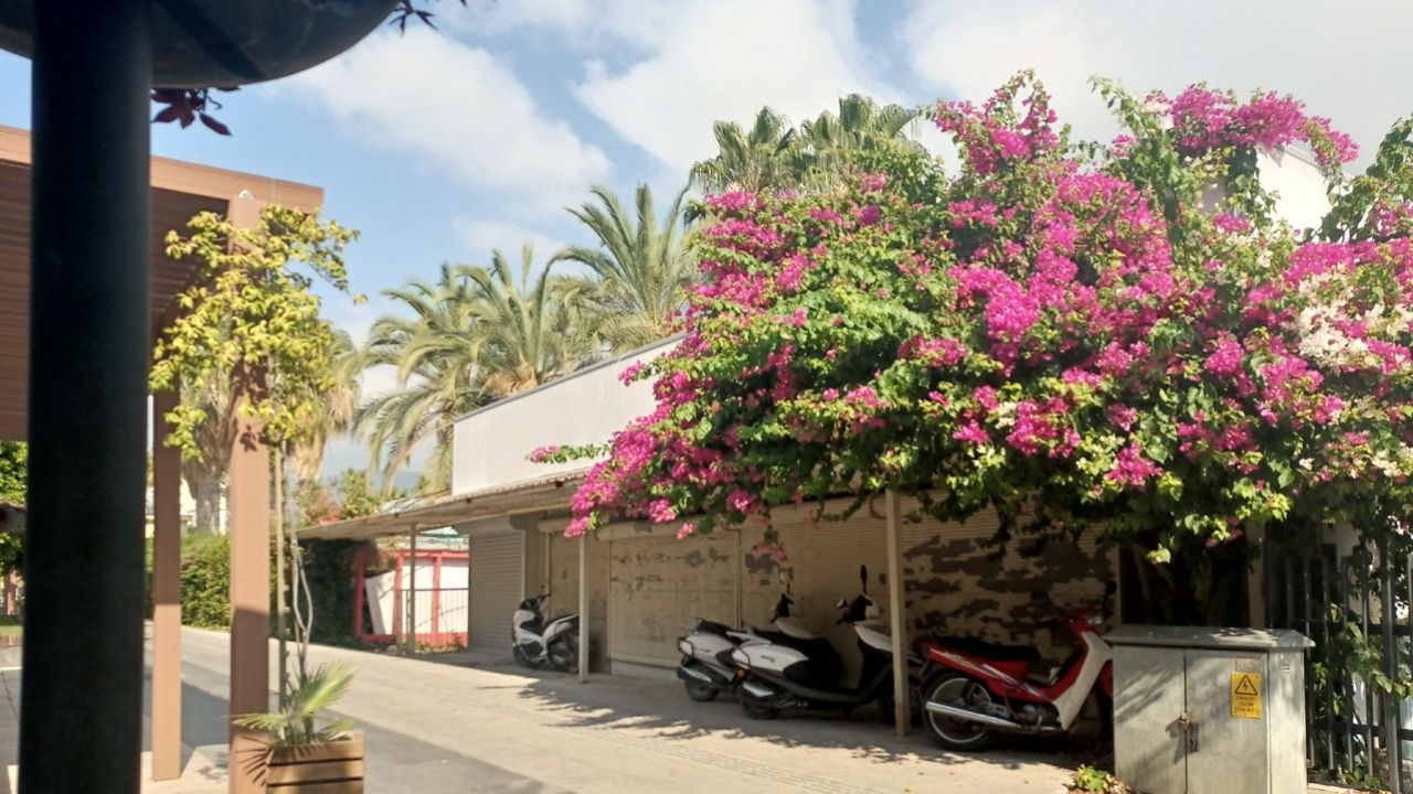 Поездки в Турцию для пензенцев подорожали на 46%