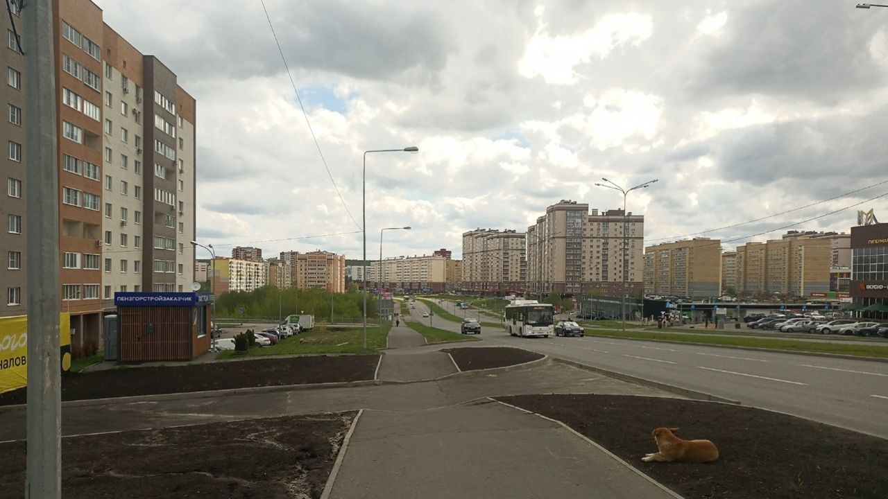 Больше всего пензенцев на уходящей неделе волновали вопросы дорог