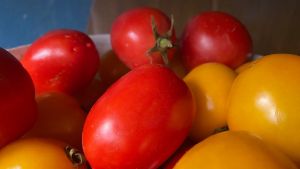 В Пензенской области исследовали 354 пробы плодоовощной продукции