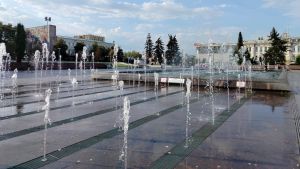 Олег Денисов поручил пресечь купание пензенцев в городских фонтанах