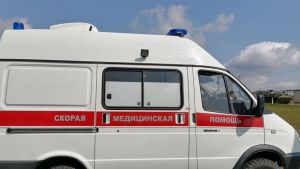 В Нижнеломовском районе перевернулась машина, пострадала женщина