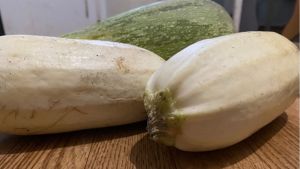 Салат из печеных кабачков и грибов: дело в заправке - вкусно так, что ум отъешь
