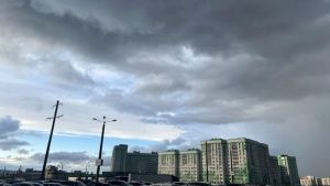 1 августа в Пензенской области потеплеет, но дожди и грозы продолжатся