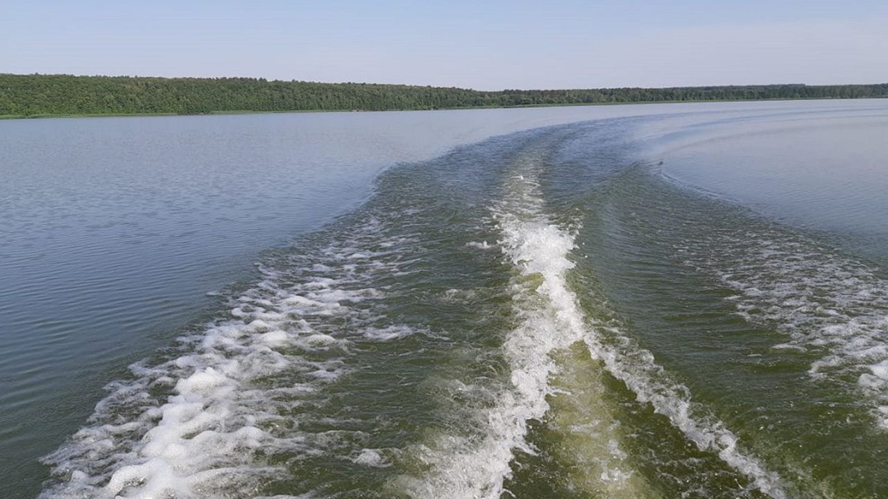 Названы причины ухудшения химического состава воды в Сурском водохранилище