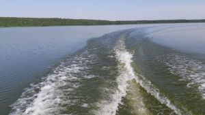 Названы причины ухудшения химического состава воды в Сурском водохранилище
