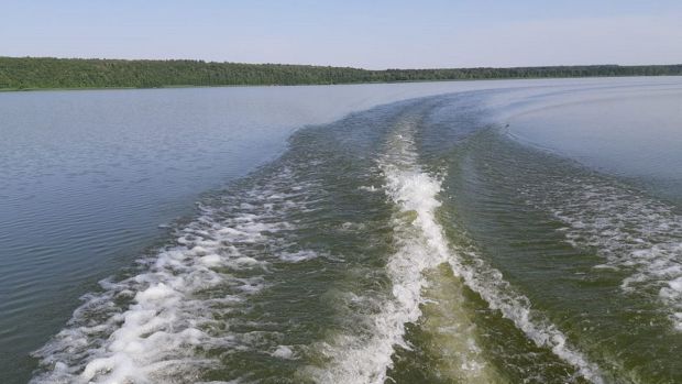 Названы причины ухудшения химического состава воды в Сурском водохранилище