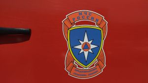 В Пензенской области за сутки потушили три пожара