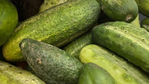 Готовлю огурцы по-корейски на зиму: рецепт с морковкой