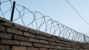 В Пензенской области снизилось число осужденных