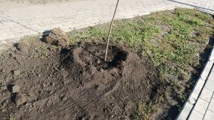 В Пензе перераспределили бюджетные средства на благоустройство и свет