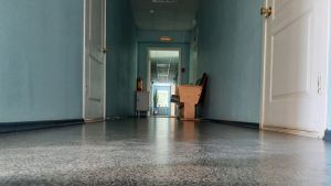 Пензенцам рассказали о рисках распространения редкого вируса Бурбон