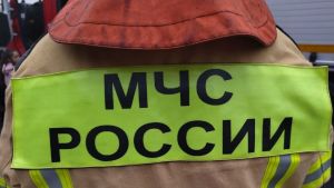 При пожаре в Каменке пострадал 46-летний мужчина