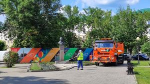 В Пензе в следующем году станет больше цветочных клумб