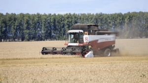 В Пензенской области уборка зерновых выполнена на 13,5% от плана