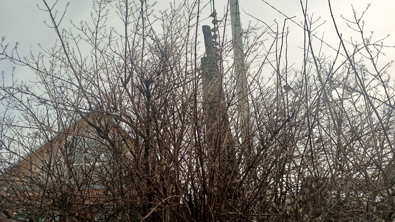 В Пензенской области вдвое сократили сроки оформления земли и недвижимости