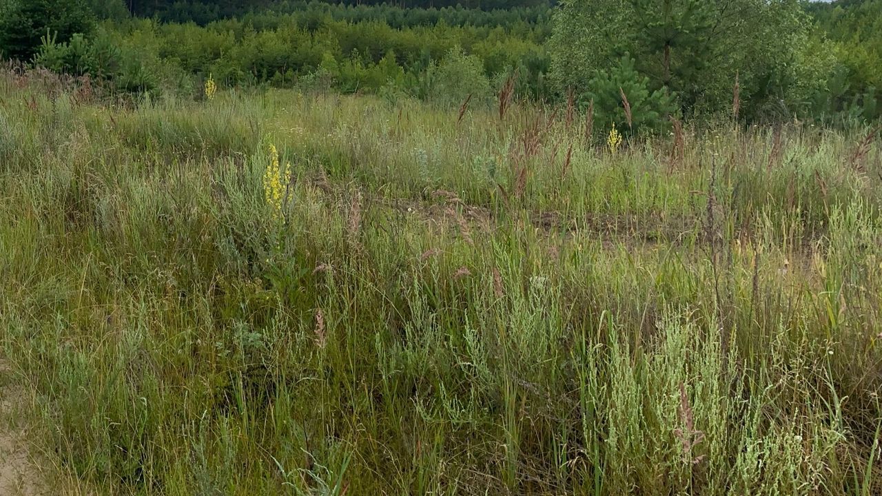 В Пензенской области бизнесмен оштрафован за заброшенные сельхозземли