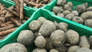 Хотите жить до 100 лет? Начните есть эти 6 продуктов уже завтра – советы диетологов