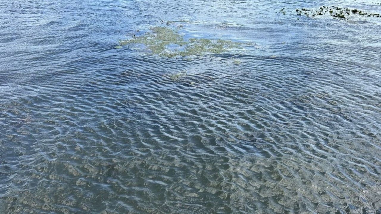 На водоеме в селе Засечное утонул 18-летний парень