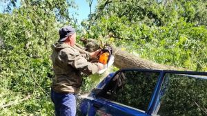 В Кузнецке коммунальщики продолжают устранять последствия непогоды