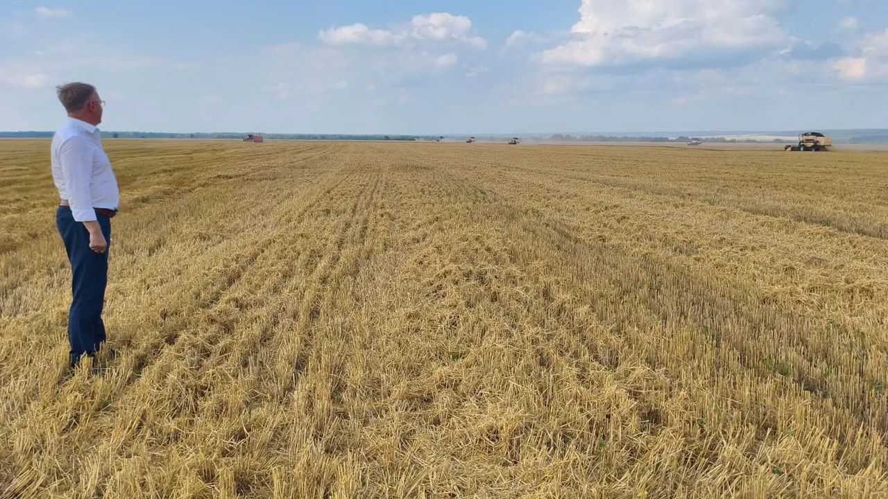 Аграриям Каменского района предстоит убрать 66 229 гектаров зерновых культур